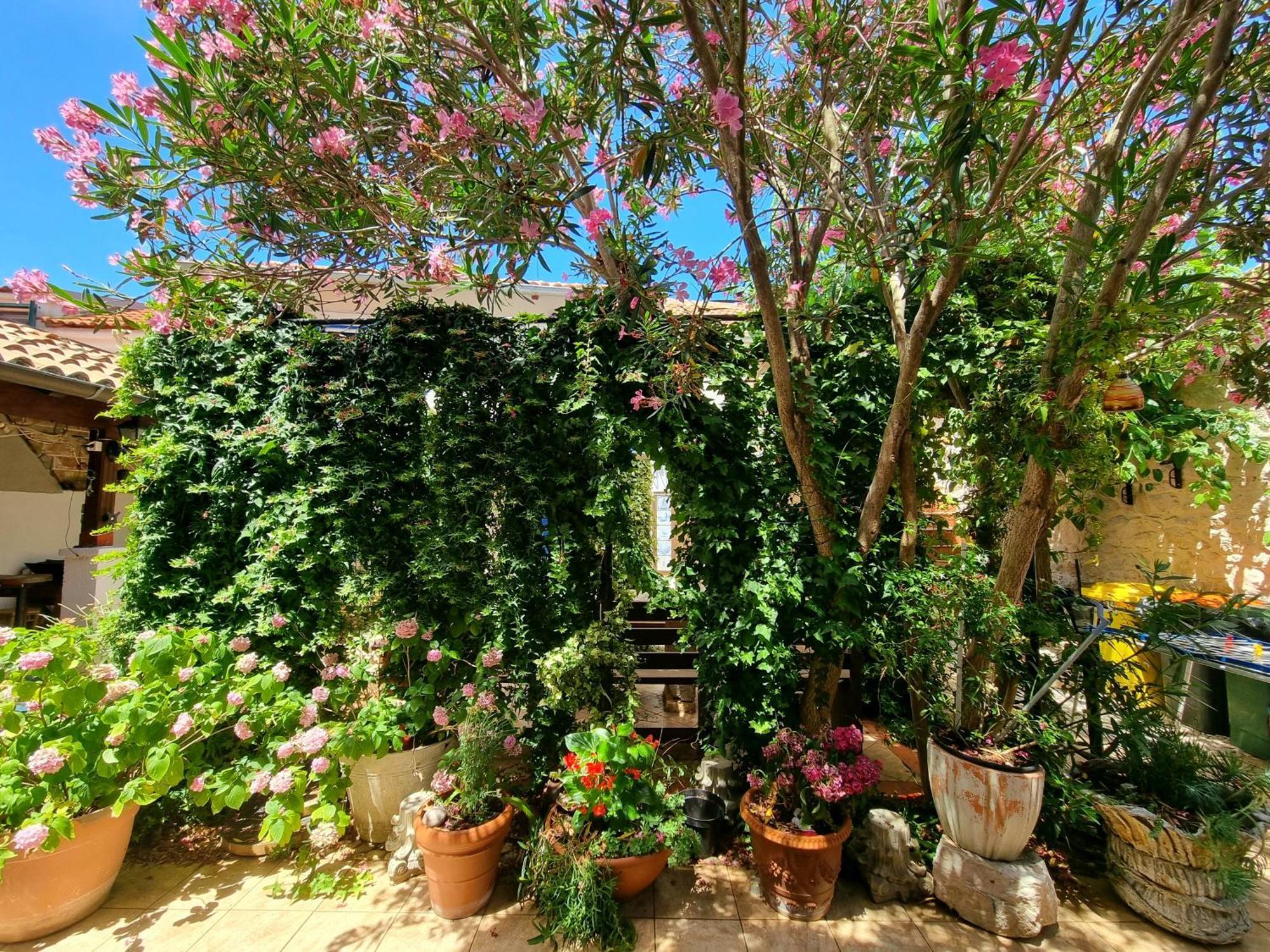 Apartments Skoljka يزيرا المظهر الخارجي الصورة