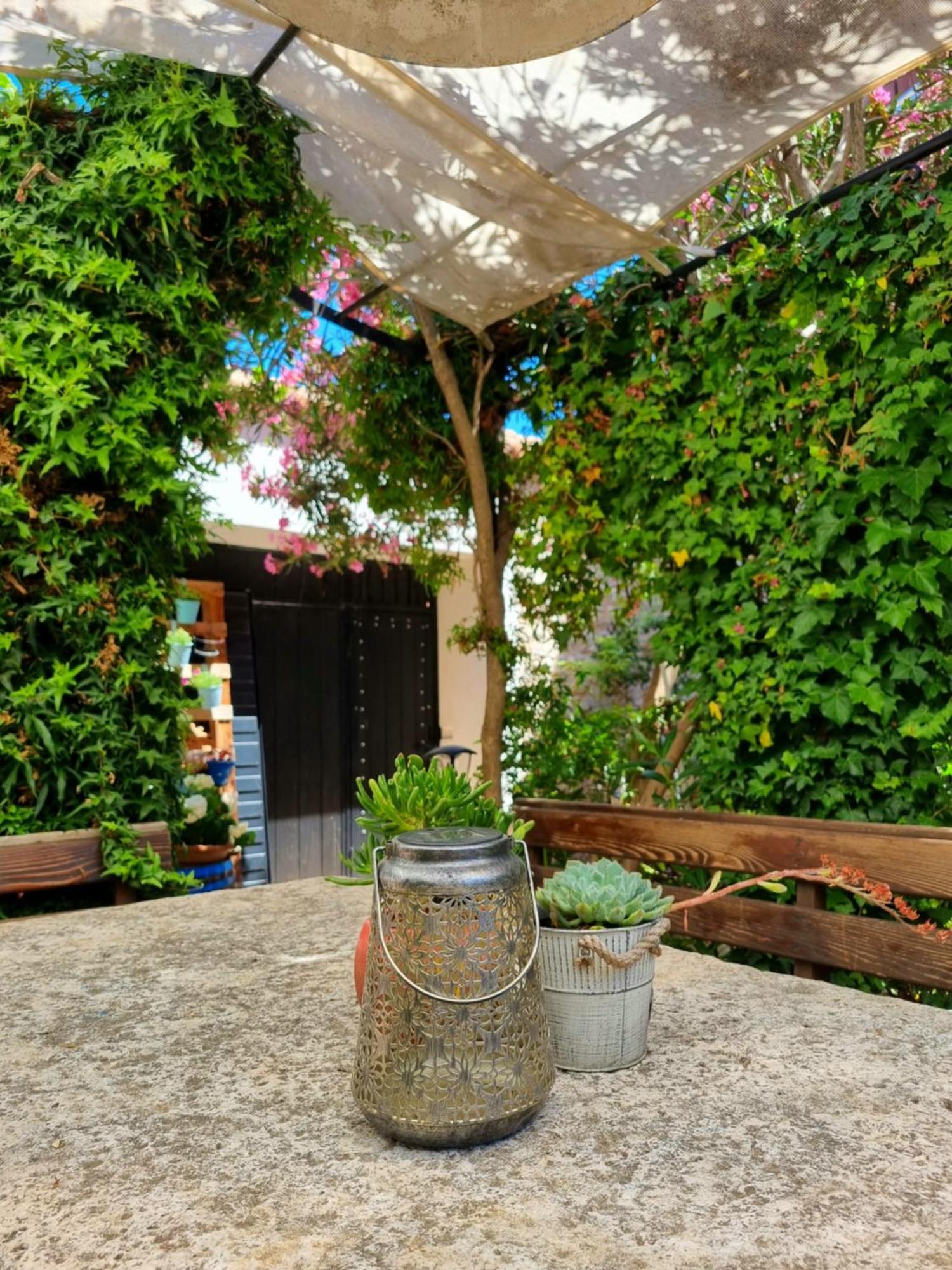 Apartments Skoljka يزيرا المظهر الخارجي الصورة